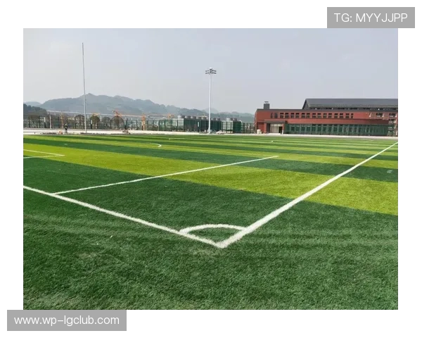 中国顶级足球草坪建设标准与绿色生态体育场发展的融合探索